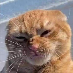 Meet your Posher, Nathaniel